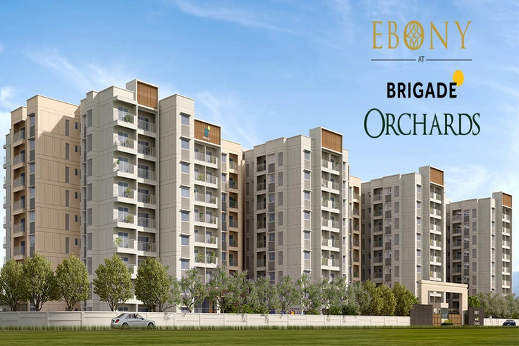 Main-Elevation-Ebony-at-Brigade-Orchards