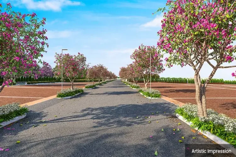 Elevation-A-Adarsh-Euphoria-Plots